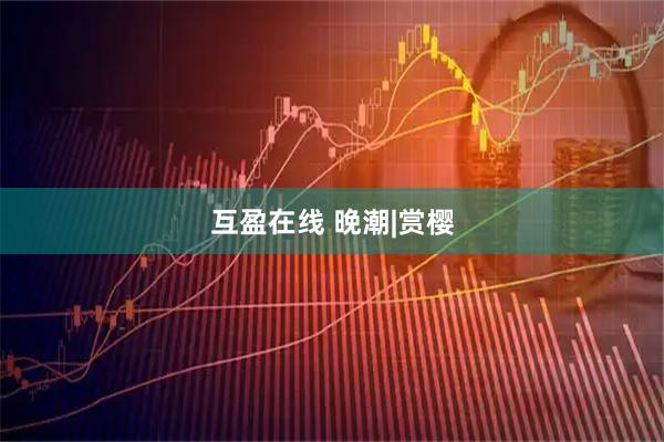 互盈在线 晚潮|赏樱