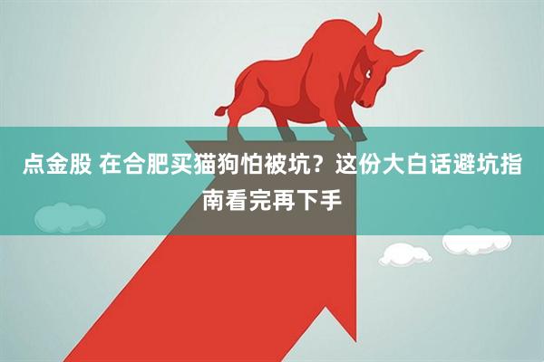 点金股 在合肥买猫狗怕被坑？这份大白话避坑指南看完再下手