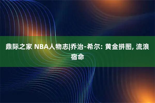 鼎际之家 NBA人物志|乔治-希尔: 黄金拼图, 流浪宿命